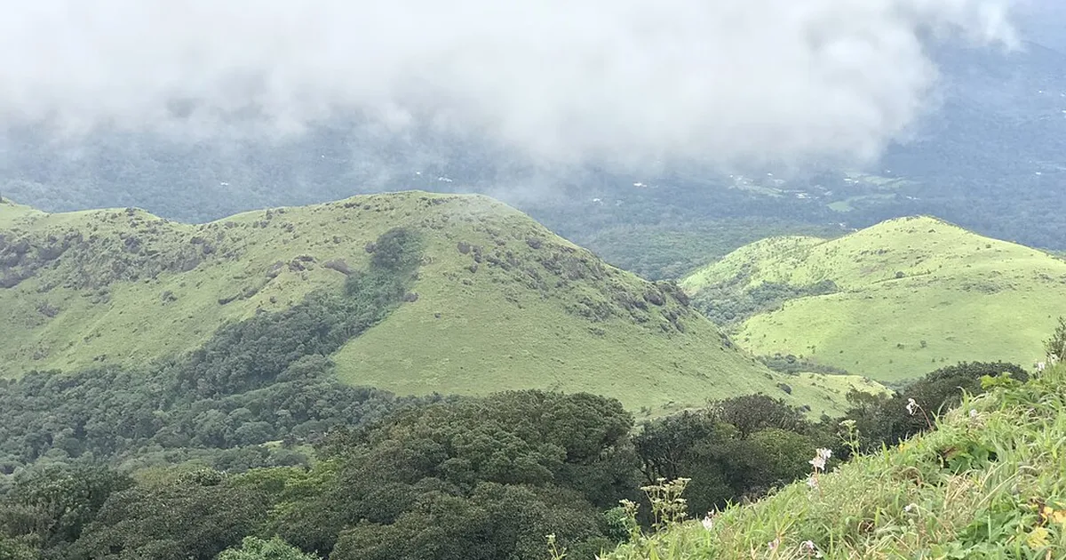 Bangalore to Coorg Road Trip Guide – Coffee Country Drive Through the Western Ghats